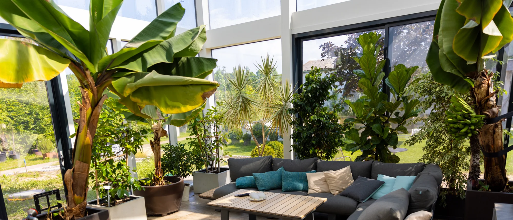 Wintergarten mit Bananenstauden, Palmen und Loungebereich