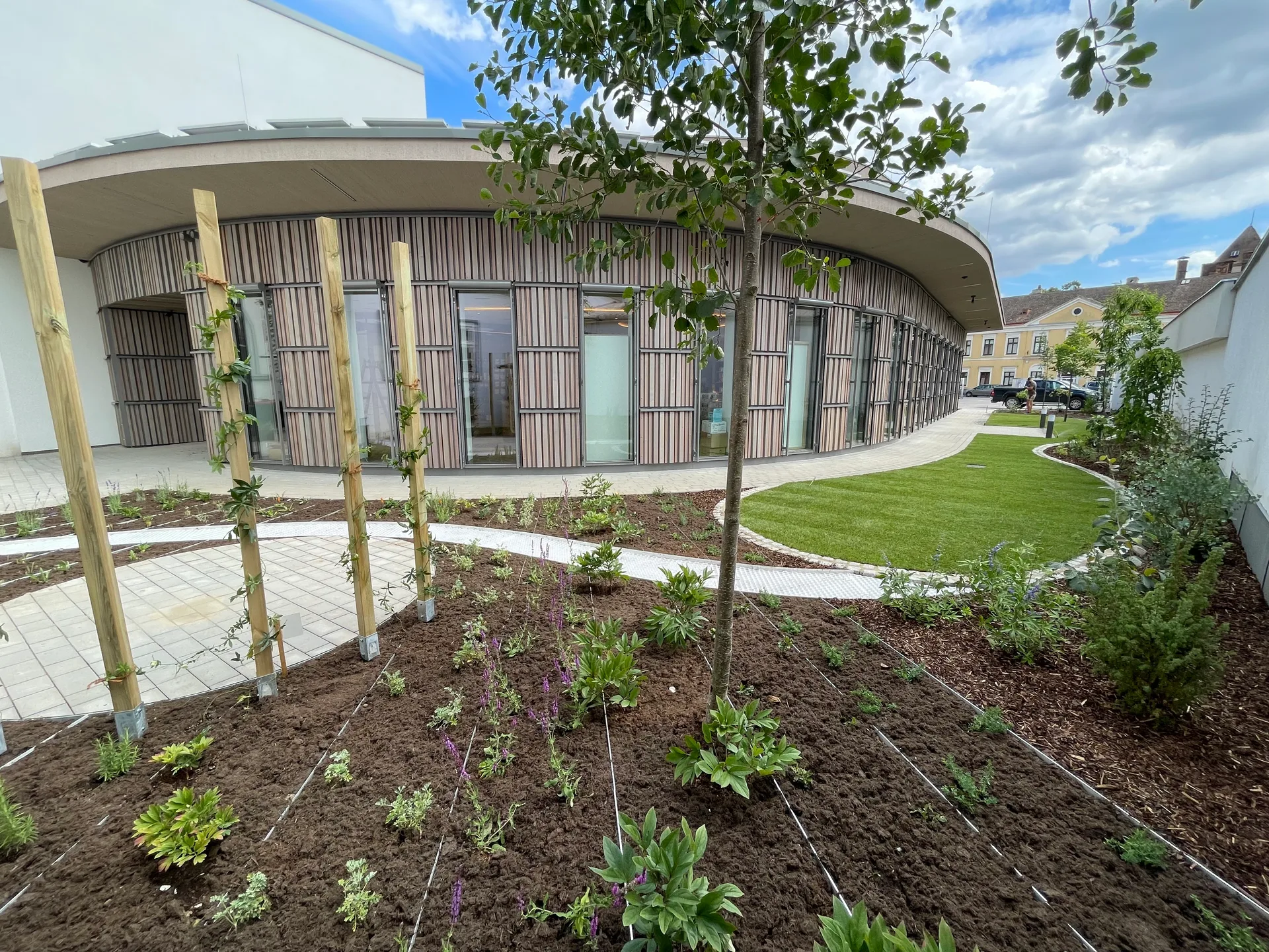 Heilkräutergarten im Innenhof der Apotheke mit geschwungener Rasenfläche und Pflasterkreis