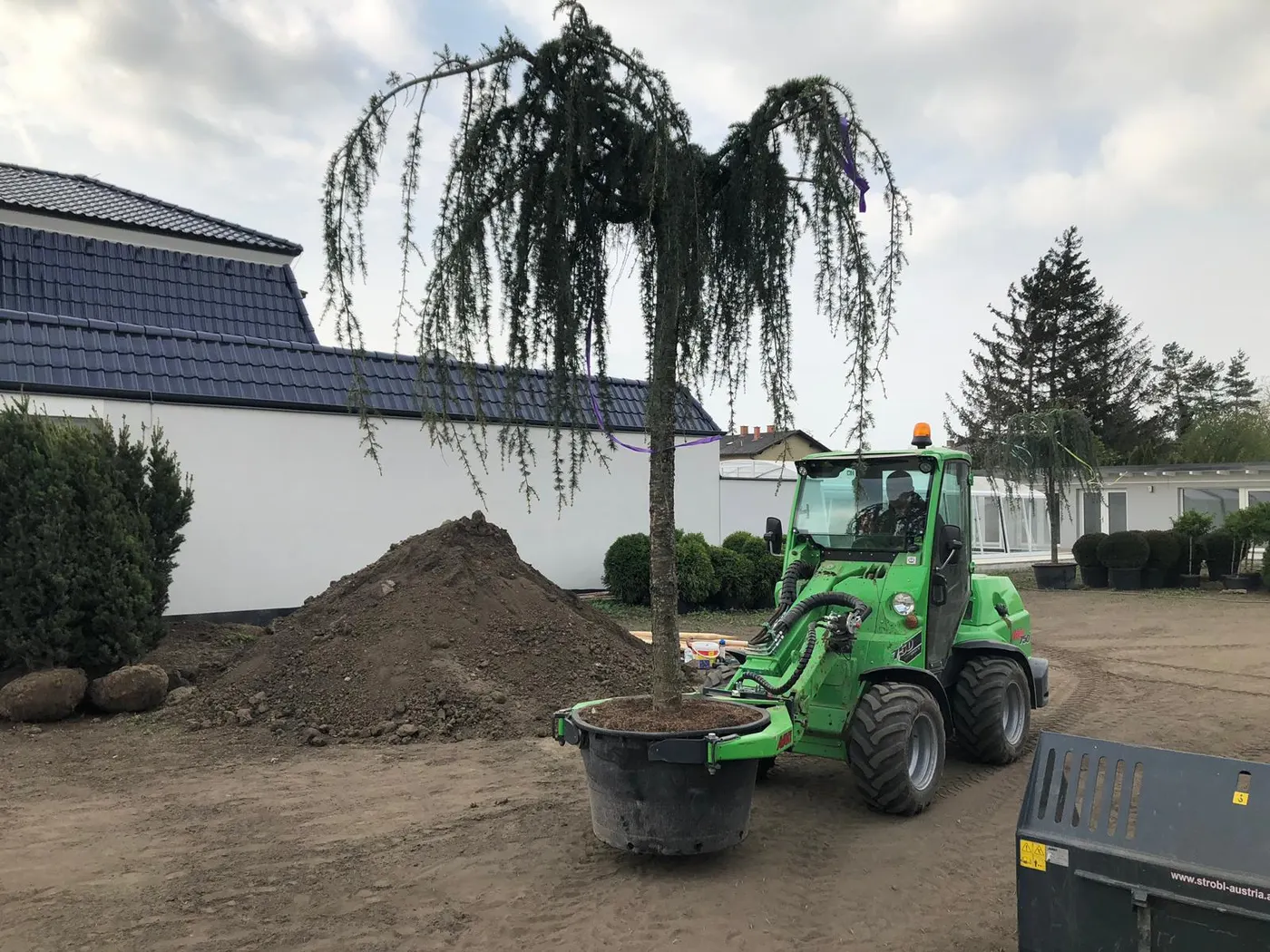Großbaum wird mit dem Lader an seinen Platz gebracht