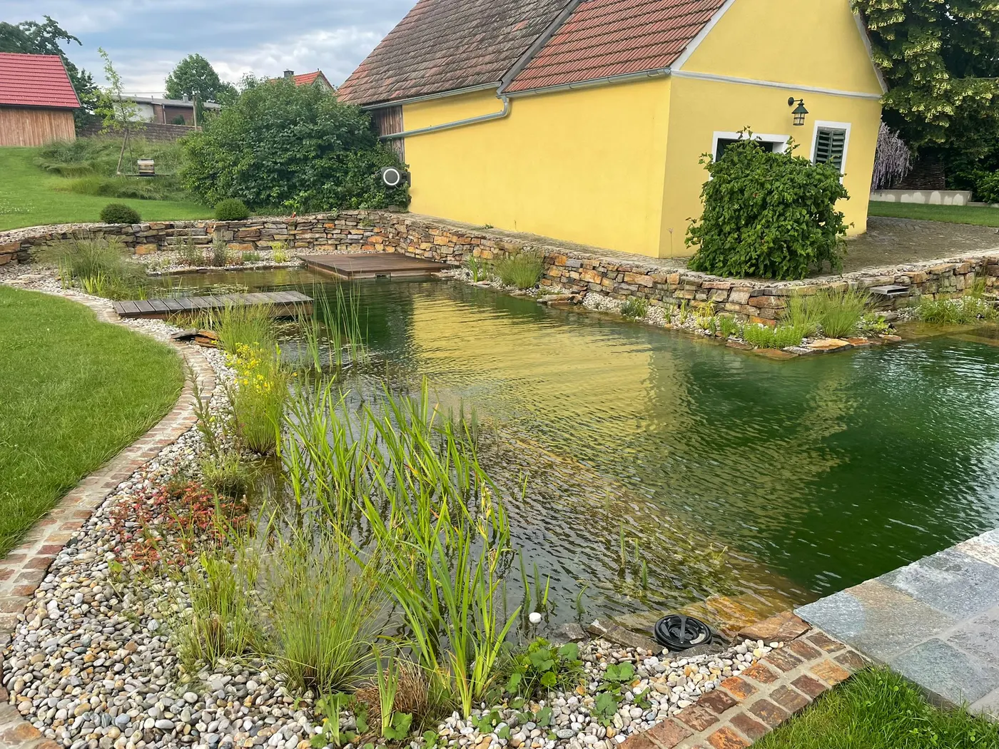 Bepflanzte Regenerationszone des Schwimmteichs