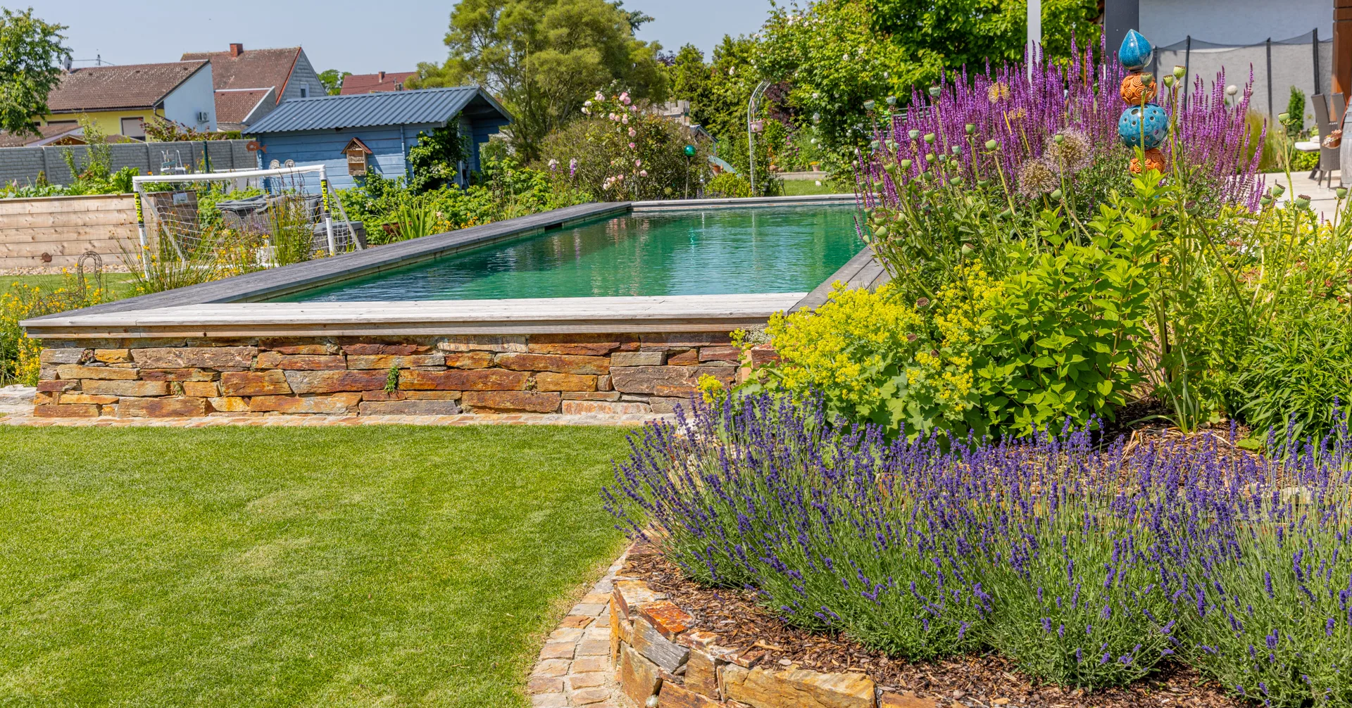 Erhöhter Naturpool mit Natursteinmauer, davor blühender Lavendel