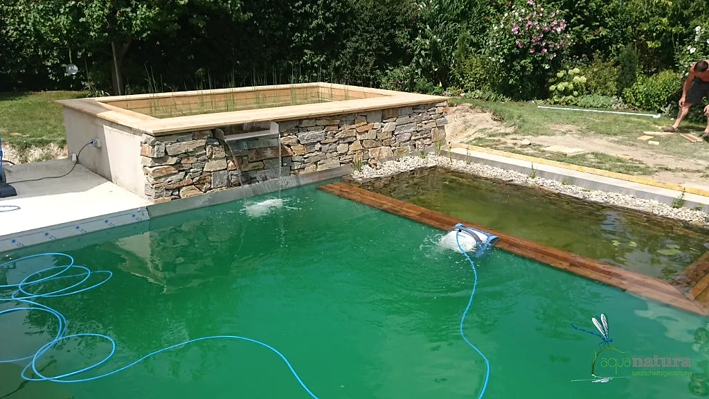 Dicht blühende weiße Kletterrose