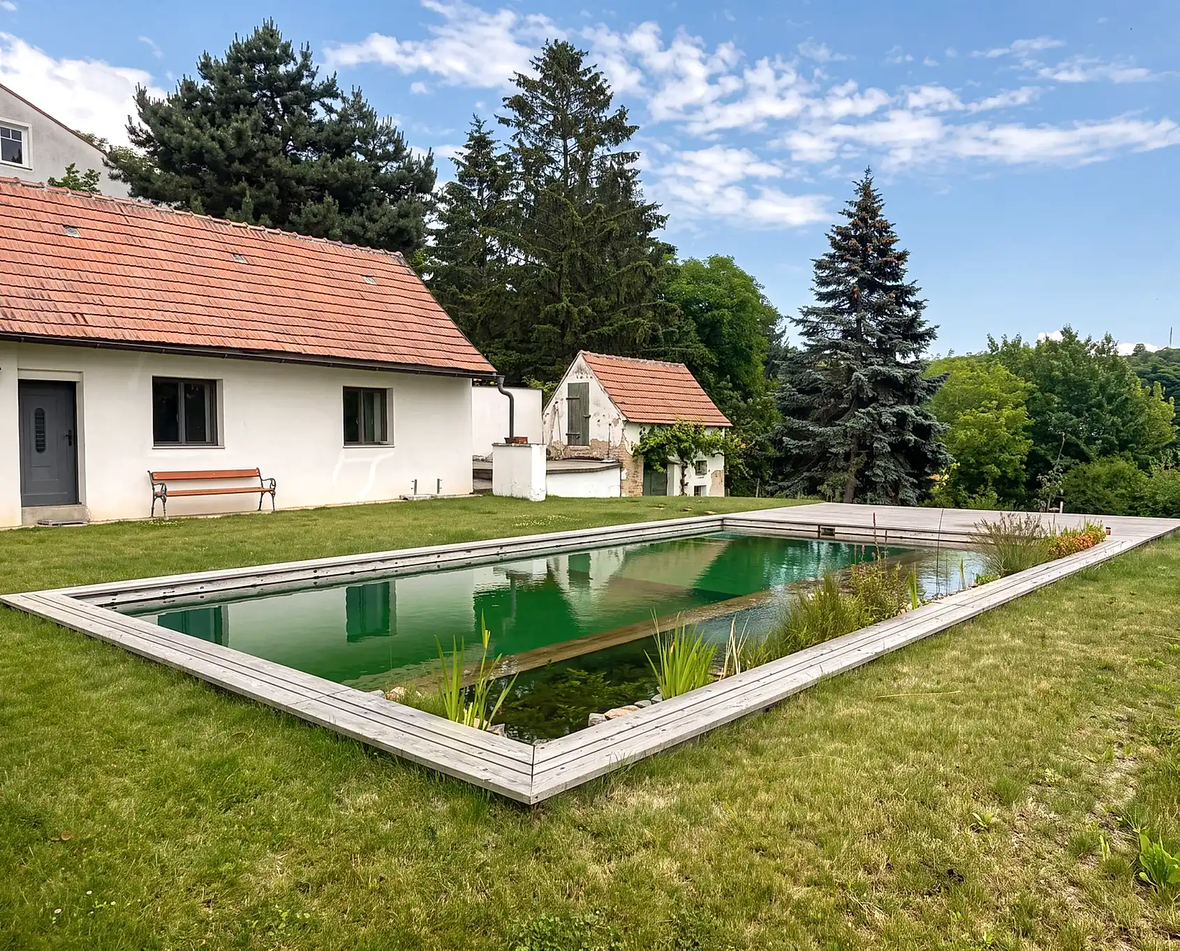 Naturpool mit klarer Kante und Uferbepflanzung neben einem Wohnhaus