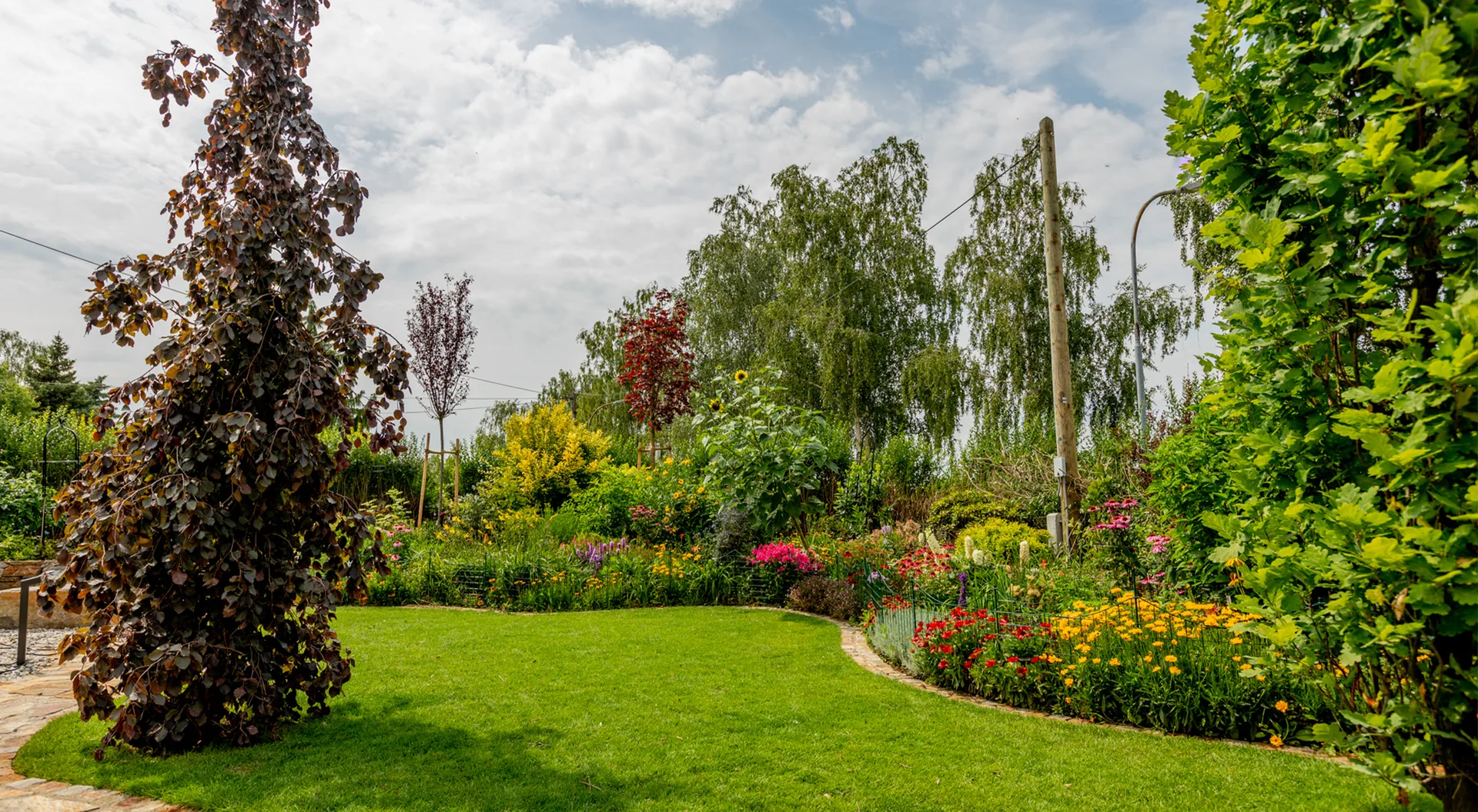 Gepflegter Rasen mit geschwungener Beetkante, farbige Staudenbeete und eine Blutbuche im Hausgarten