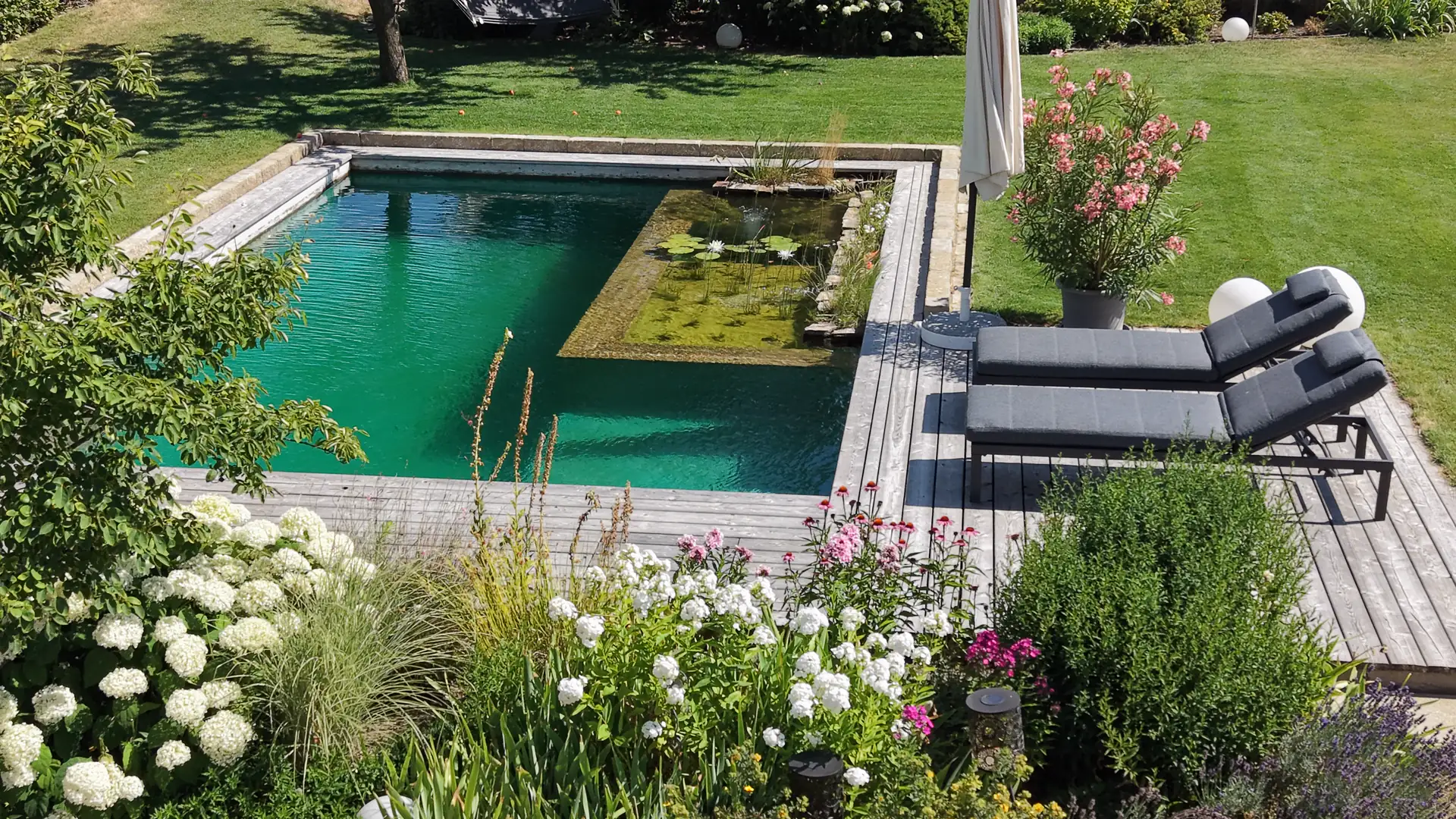 Schwimmteich mit Regenerationszone, Holzdeck mit Sonnenliegen und blühenden Staudenbeeten
