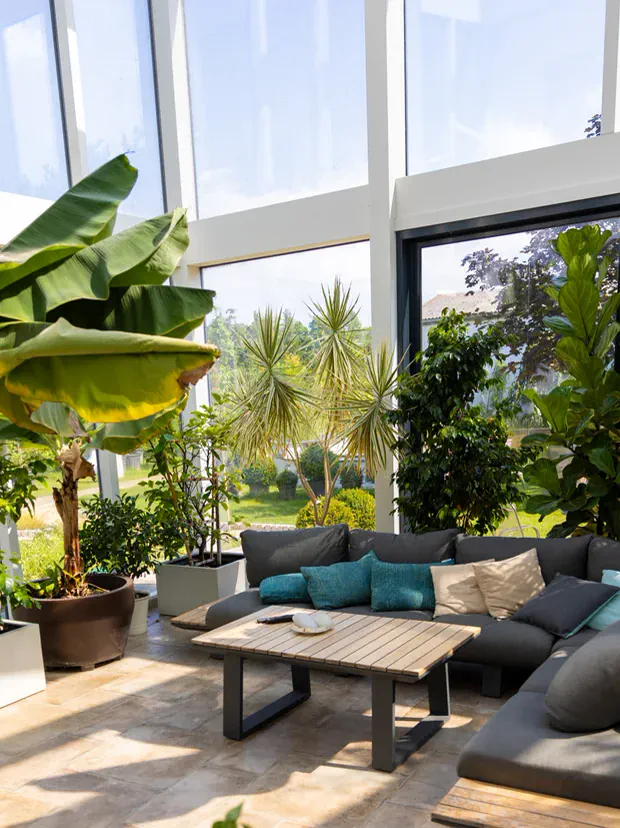 Wintergarten mit Bananenstauden und großen Kübelpflanzen