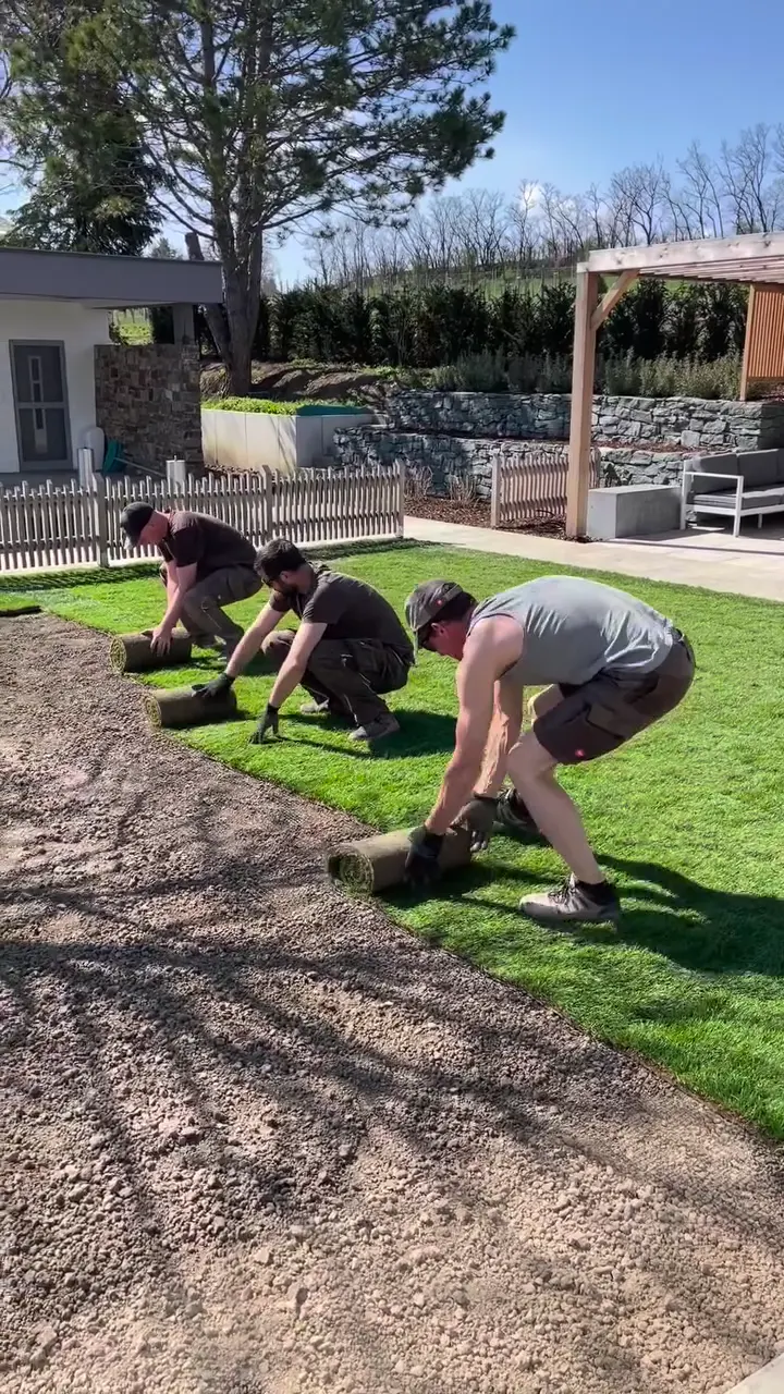 Frisch verlegter Fertigrasen mit laufendem Versenkregner, dahinter eine Pergola