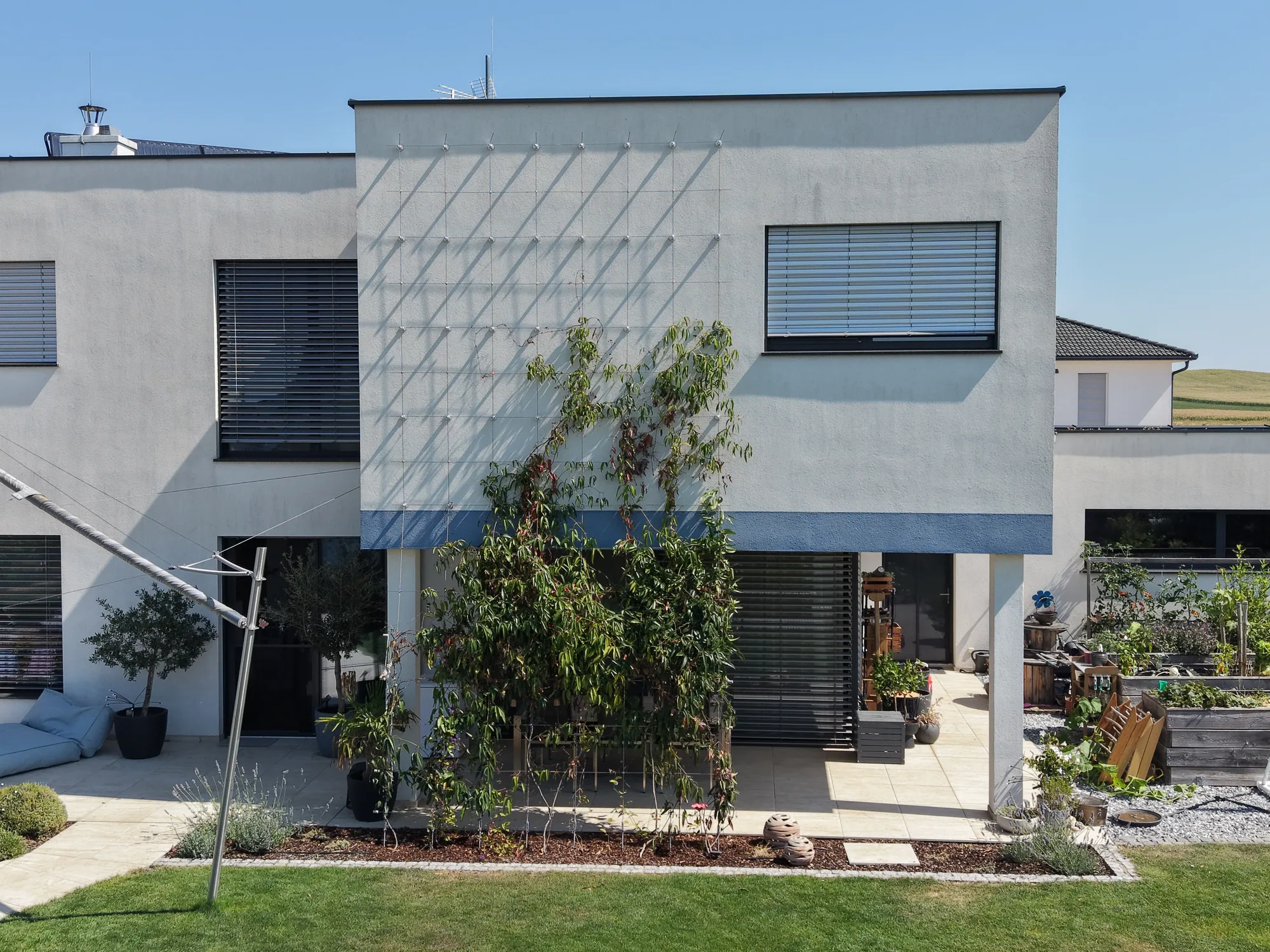 Modernes Haus mit Seilsystem für die Fassadenbegrünung