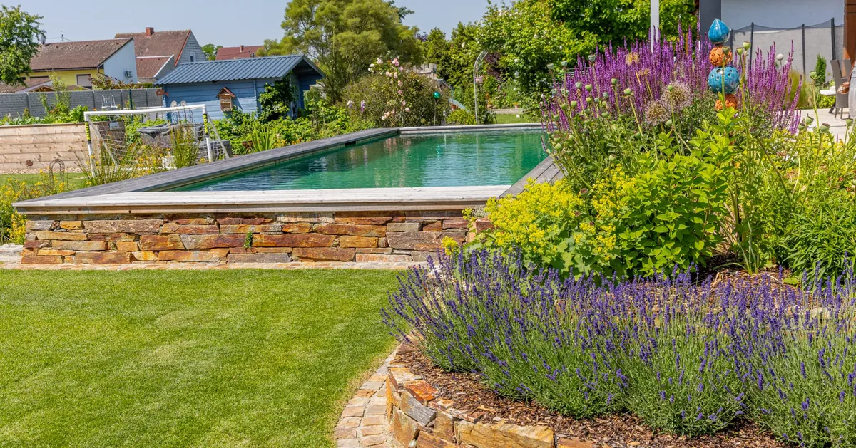 Schwimmteich mit Lavendel und Natursteinmauer am Ufer