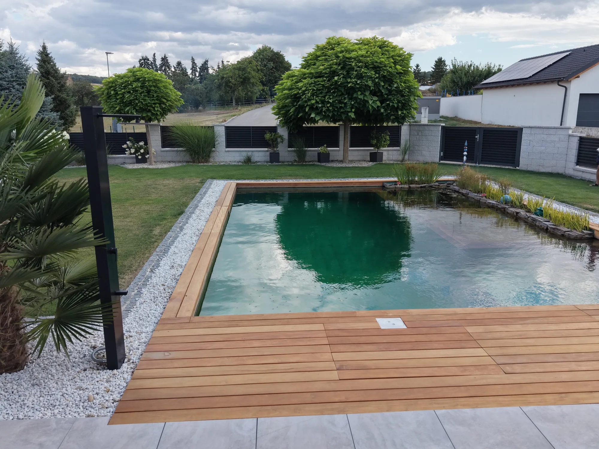 Schwimmteich mit Palme und Sonnendeck neben der Terrasse