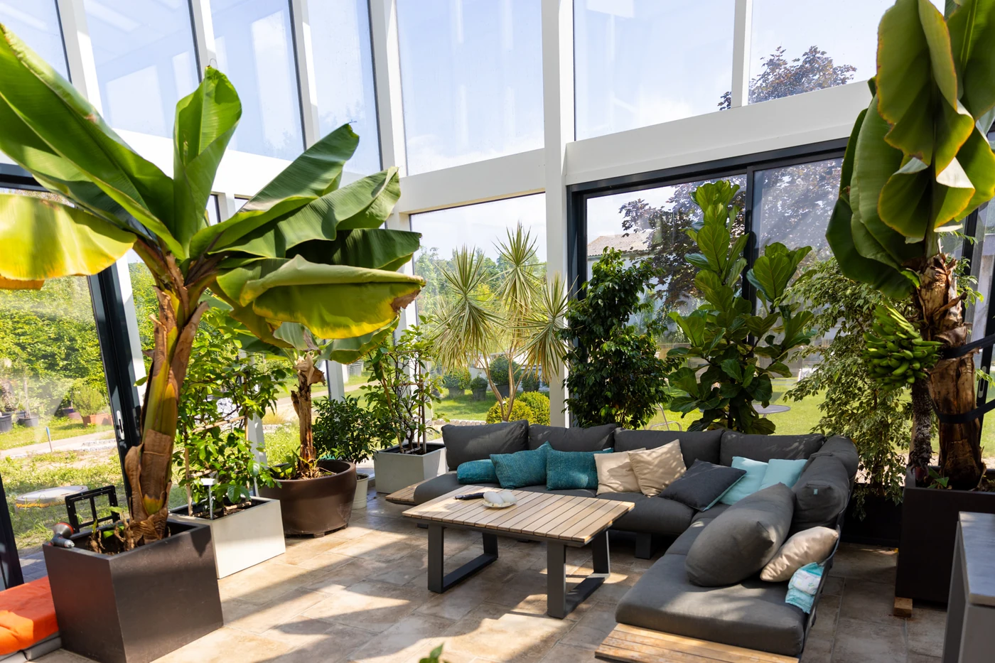 Lounge mit Polstermöbeln zwischen Palmen und Bananenstauden im lichtdurchfluteten Wintergarten